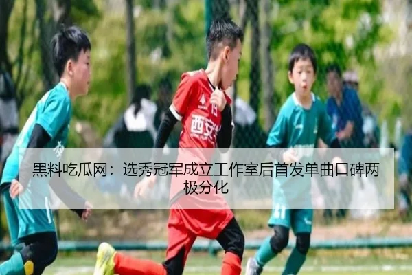 黑料吃瓜网：选秀冠军成立工作室后首发单曲口碑两极分化